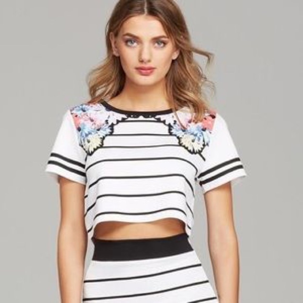 Mink pink striped floral crop top